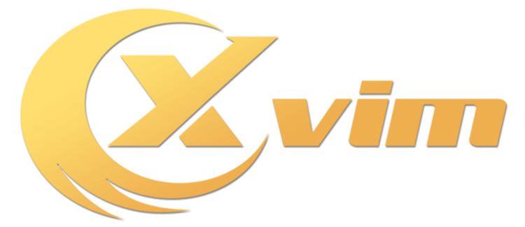 Xvim Linux Xvim DVR Setup Manual Download – XVIMTech